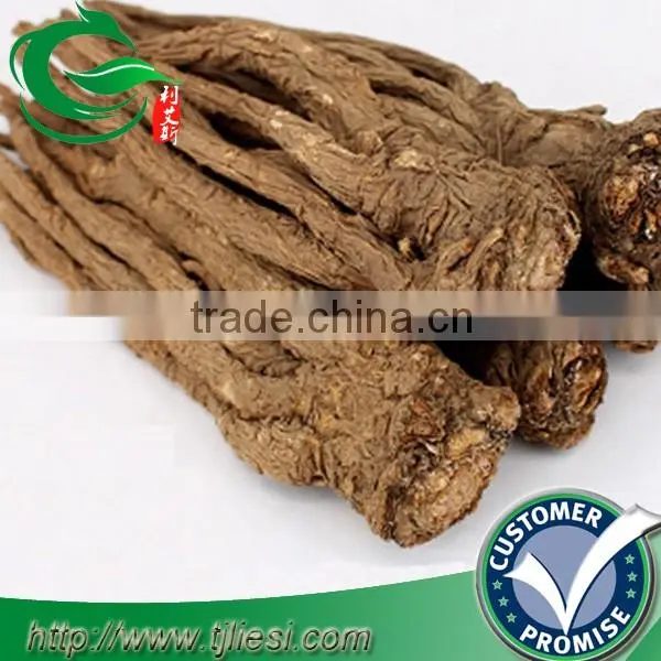 supply angelica not extract