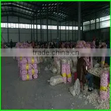 Qingdao New Yang Shan Trading Co., Ltd. company overview - view 2