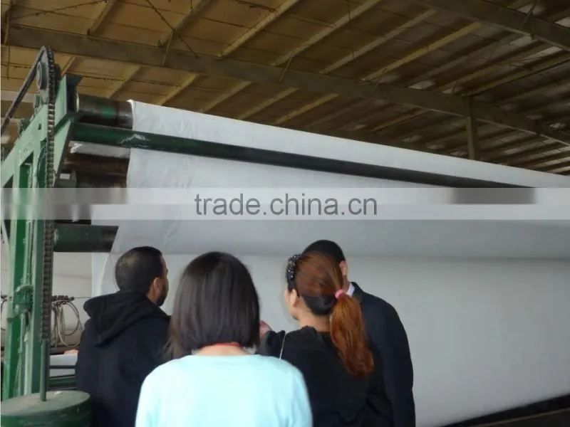 Non-woven Geotextile/non woven geotextile