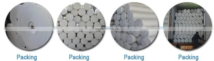 Geotextile Fabric Polyester Nonwoven for roads and highways