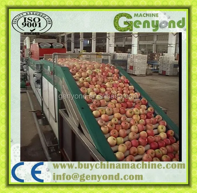 Citrus Waxing Machine Fruit Washing and Waxing Machine Fruit Waxing Machine
