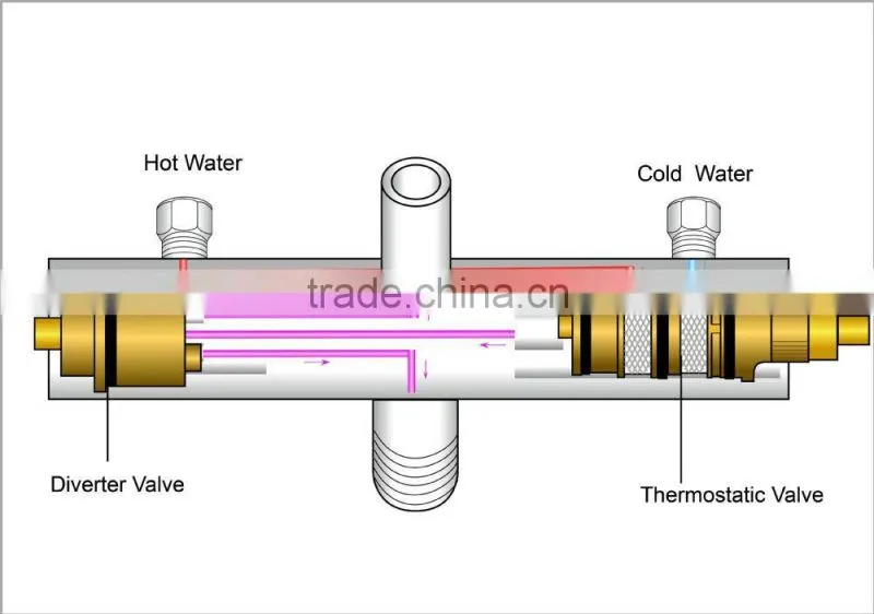 Anti-scalding thermostatic valve shower with EN1111&ASSE1016