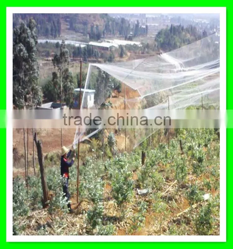 supply vineyard anti bird net/bird capture nets with low price