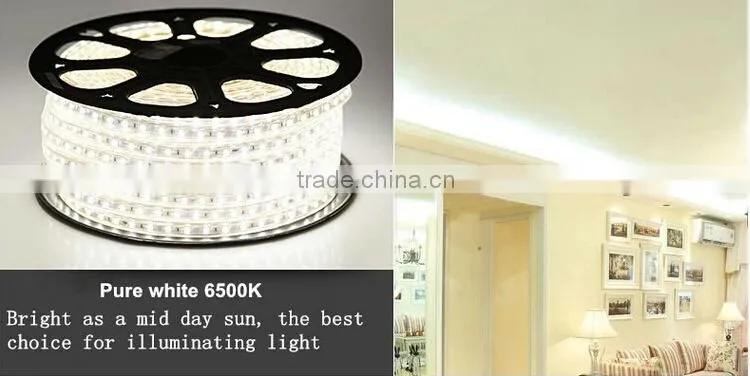 festalight 2016 christmas decoration chinese manufacturer new products high voltage SMD5050 SMD3528 led strip light