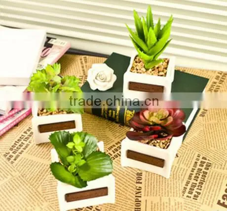 Wholesale Artificial Potted Mini Succulent Plants