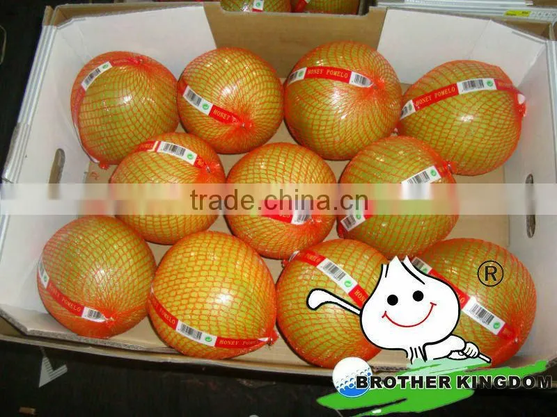 citrus fruit vietnam grapefruit pomelo price