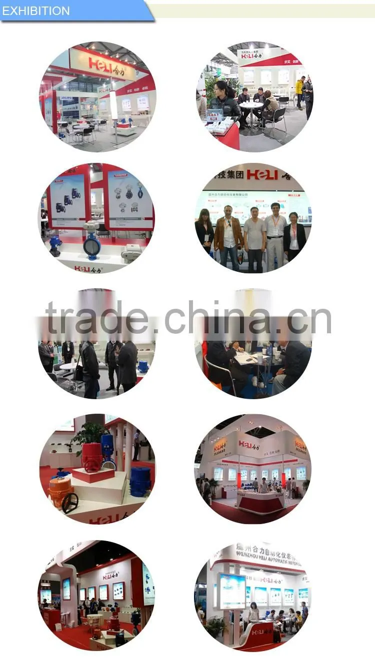 Electric Rotary Actuators with CE certification ISO9001