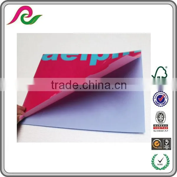 L shape design PP presentation folder