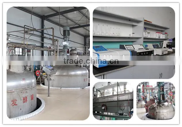 White Crystalline Erythritol Manufacturer