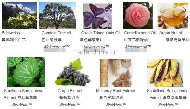 Elbow and knees 60g Tranexamic body Whitening cream