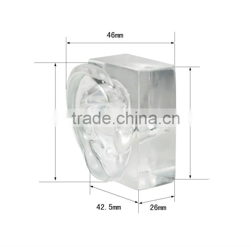 Hot-sale clear acrylic human ear model