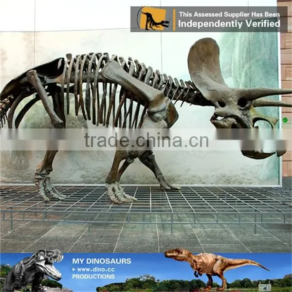 MY Dino-C087 Amusement park life size triceratops skeleton
