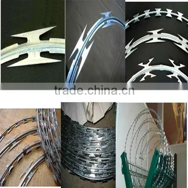 cheap weight galvanized razor barbed wire