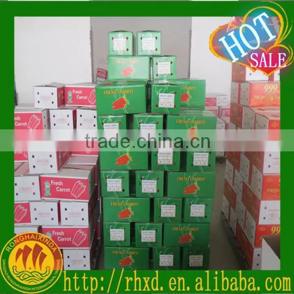 Chinese fresh carot of 2016 crop