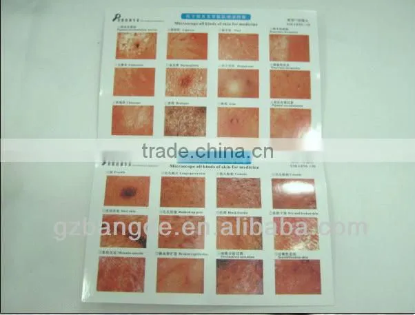 Boxy Skin and Hair testing equipment beauty machine BD-P023