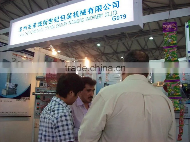 Large Back Sealing Automatic Packing Machine For Potato Chips