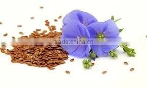 LINSEED OIL SEED