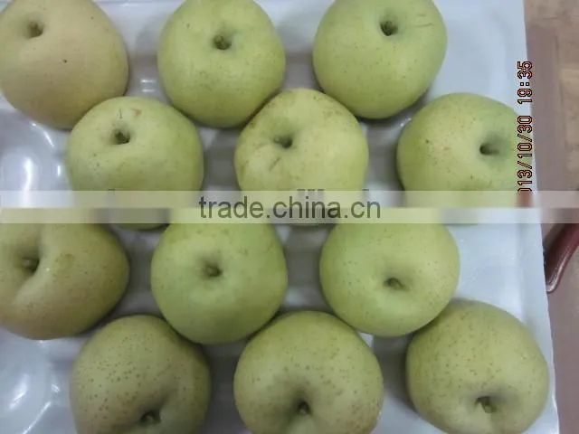 Chinese Gold pear,round pear