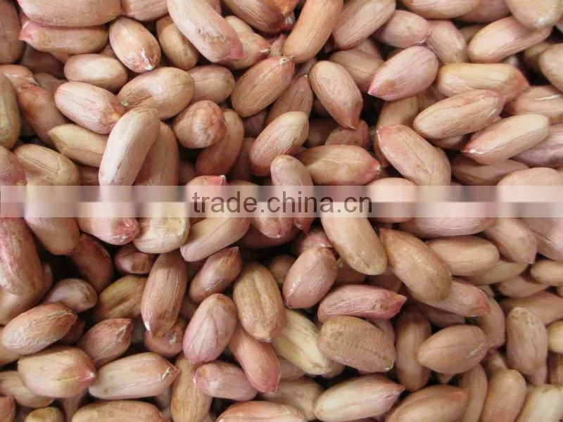 Red peanut kernel new season