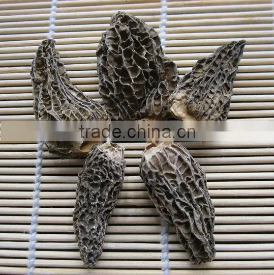 2015 Hot Sale 100% Real Wild Dried Morel with Cheap Prices