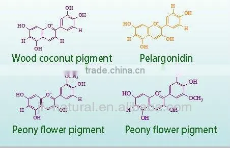blueberry extract concentrate powder