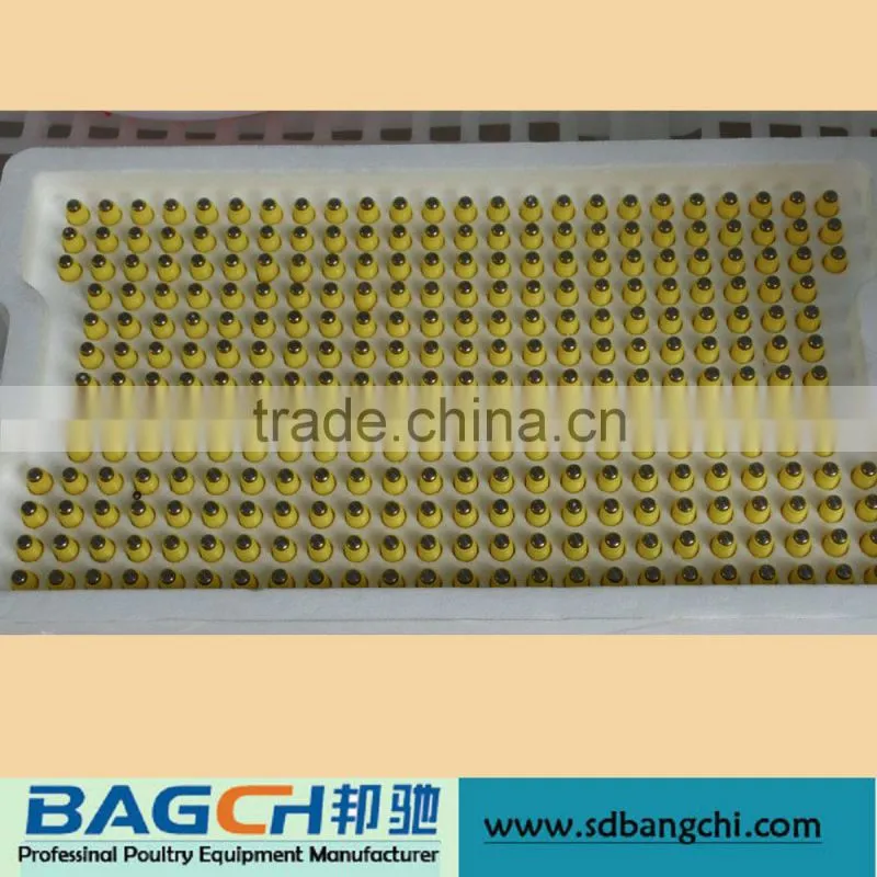 poultry automatic nipple drinking system
