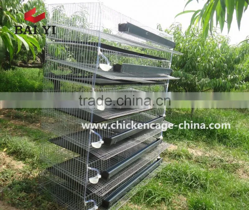 Quail Egg Cage For Quail Egg Production
