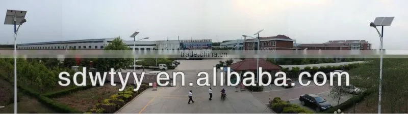 hydraulic cylinder for crane/loader/excavator