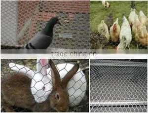 chicken coop hexagonal wire mesh