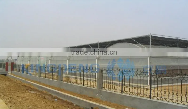 Plastic Film Greenhouse for Vegetable-growing