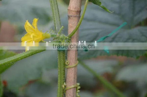 15cm 20cm with 2.0mm and 2.6mm PVC Green Plastic Twist Tie