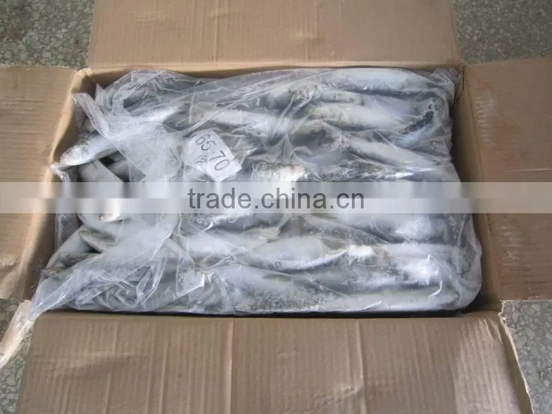 W/R frozen sardine 80-120g for canning or market
