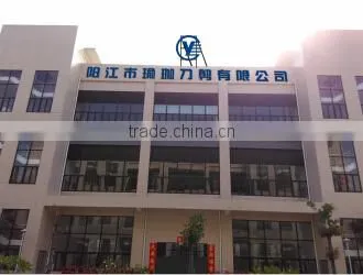 Yangjiang Yoga Daojian Co., Ltd. company overview - view 1
