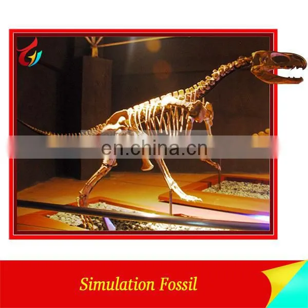 Hand made life size skeleton dinosaur fossil