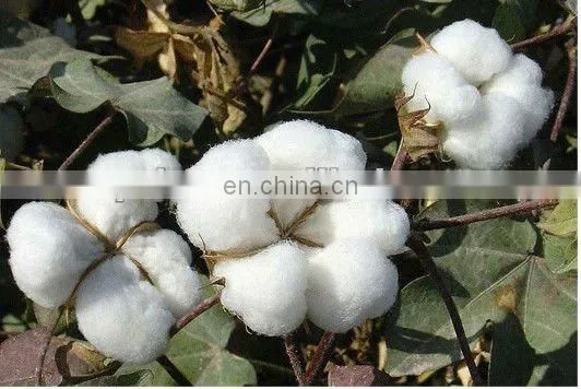 100% cotton white sateen bed sheet for hotels