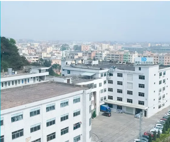 Dongguan Beny Electronic Technology CO.,Ltd company overview - view 1