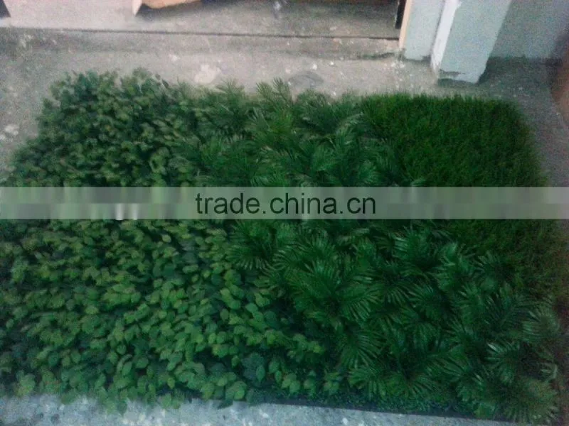 Garden green wall