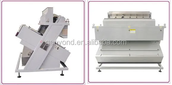 Color Sorting Machine for Coffee Beans and Nuts Bean Grading Equipment Product Type Nuts Processing Machinery