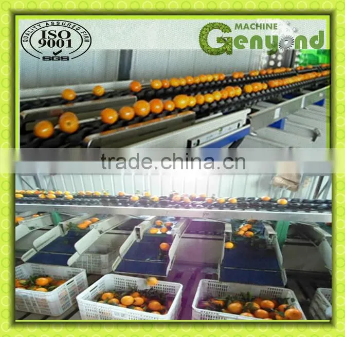 cup squezzing orange juicer machine