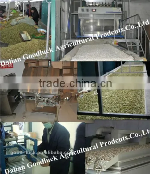 2011 new crop mung bean