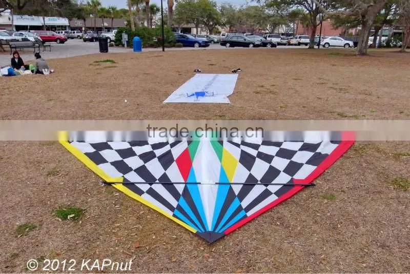 3m delta kite