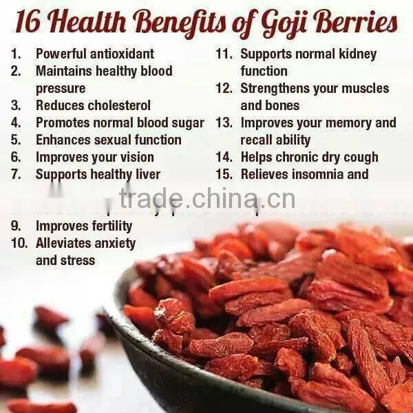 Berry goji bulk goji berries wholesale goji berry