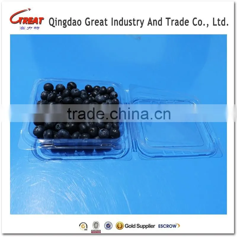 New Design 170g Fresh Blueberry Plastic Container