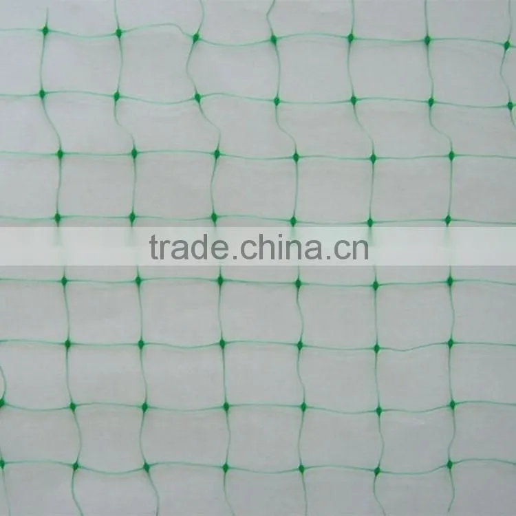 HDPE extruded Plastic Net/plastic mesh