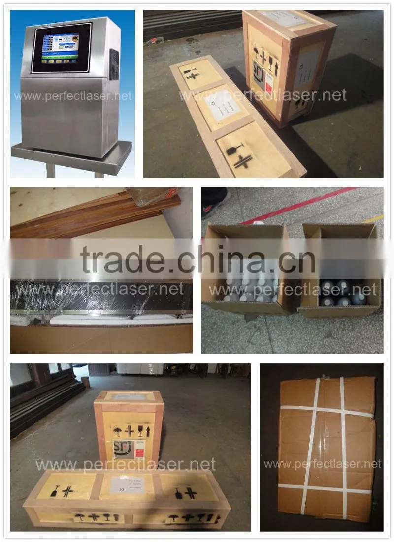 Expire Date and Batch Code logo date ink Printer machine