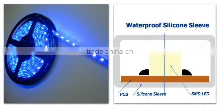 12V Waterproof IP65 5M 5050 SMD Outdoor Use LED Strip Lights