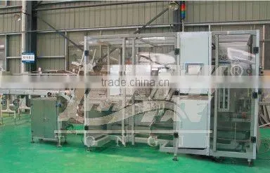 Automatic case packer packing machine