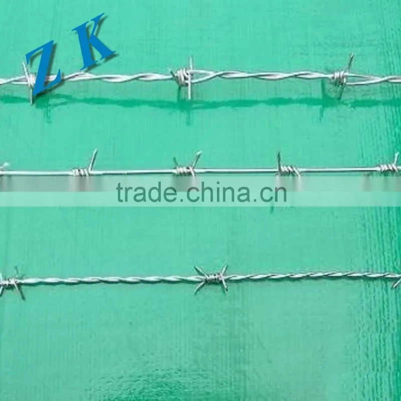 Galvanized Barbed Steel Wire for farm from factory Direct Sale