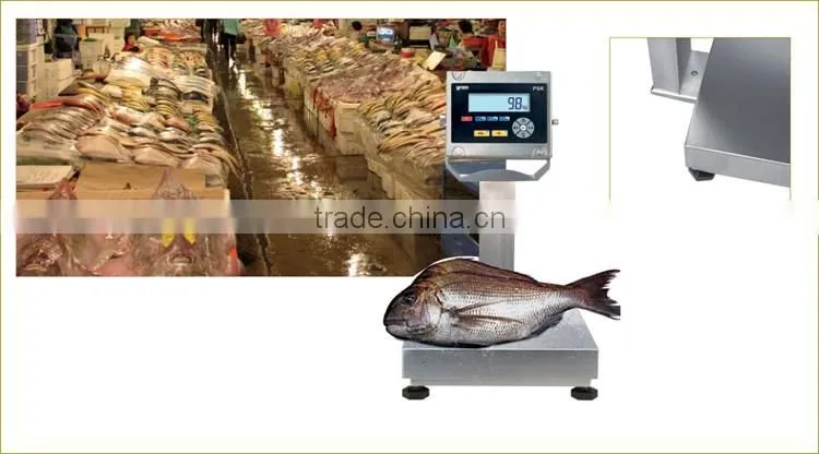 PSK-300XLE High Waterproof Stainless Steel 24" Digital Weighing Scale