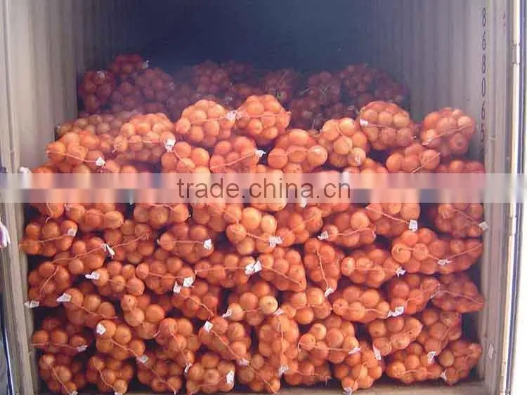 Many types red onions from onion exporters china